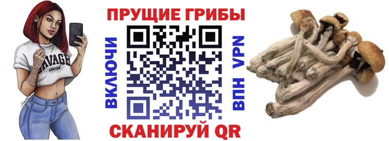 Псилоцибиновые грибы мухоморы  Шагонар 